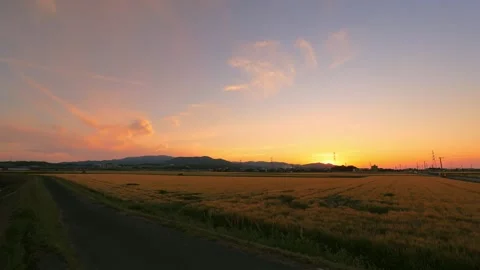 [Time-lapse] Golden wheat field at sunset and the sinking sun in Ogori, Fukuoka Vídeos de archivo 334539715