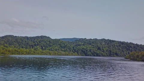 Time lapse on the Gordon River, Strahan, Tasmania, Australia Stock Footage 161529947