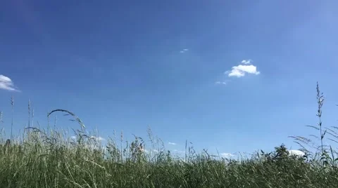 Time-lapse of grass and clouds Stock Footage 50745747