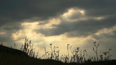 Time-lapse, grass waving against the background of moving clouds. Stock Footage 80209149