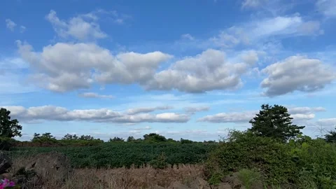 Time lapse, green fields and moving clouds Stock Footage 206755042