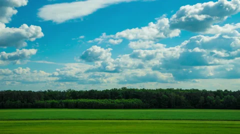 Time lapse - Green filed, trees on the horizon under blue cloudy sky Stock Footage 39009331
