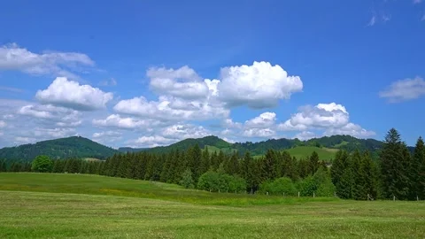 Time lapse green landscape in spring on a farm among trees Stock Footage 276379931