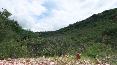 Time lapse of green mountain and clouds passing in the sky Stock Footage 157784848