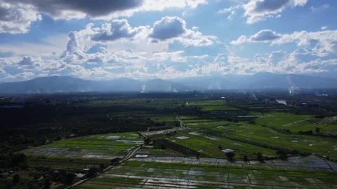 Time lapse of green rice fields and tropical forest mountain in rainy season. Stock Footage 206012002