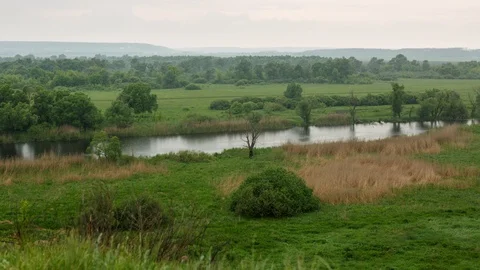 Time lapse. Green river valley. The coast is covered with reeds. Stock Footage 116599483