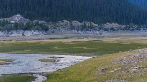 Time lapse of Grizzly Bear foraging in a medow near a river Stock Footage 96908375