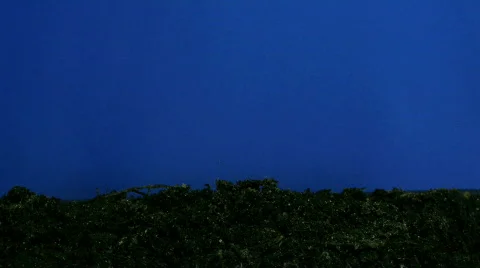 Time-lapse of growing cucumbers 2 (Part 1 of 2) Stock Footage 115969