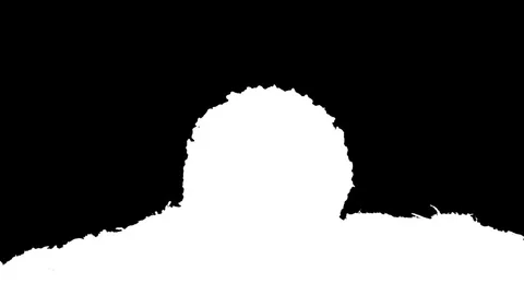 Time-lapse of growing fly agaric mushroom in RGB + ALPHA matte format Stock Footage 76997176