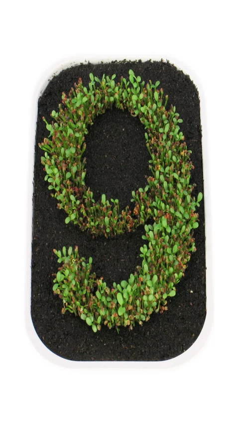 Time lapse of growing number 9, vertical orientation Stock Footage 283887712