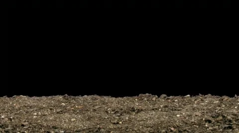 Time-lapse of growing onion with alpha matte 11 (720p) Stock Footage 724108