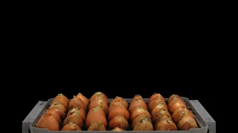 Time-lapse of growing onion with alpha matte 12a4 (DCI-3K) Stock Footage 23591593