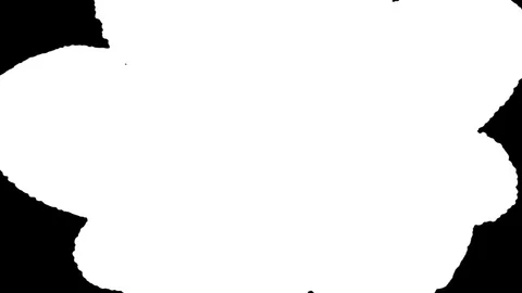 Time-lapse of growing red primula in RGB + ALPHA matte format Stock Footage 74522905