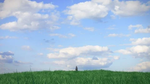 Time lapse growing tree on a hill with grass against a blue sky with clouds Vídeos de archivo 104210596