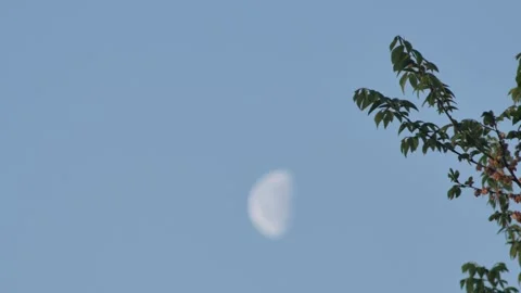 Time lapse of half moon movement in the morning sky 库存影片 242303746