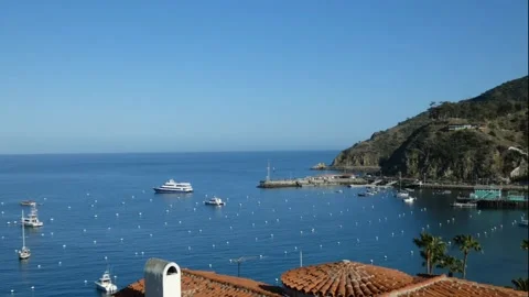 Time Lapse Harbor 3 Stock Footage 172601814