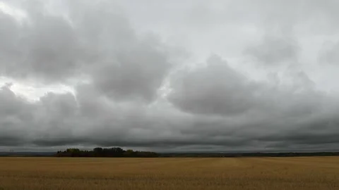 Time lapse of a harvested wheat field with grey storm clouds Stock Footage 139822508