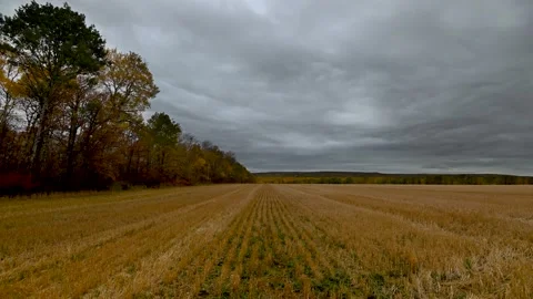 Time lapse of a harvested wheat field with a gray autumn sky full of slow-moving Stock Footage 140371688