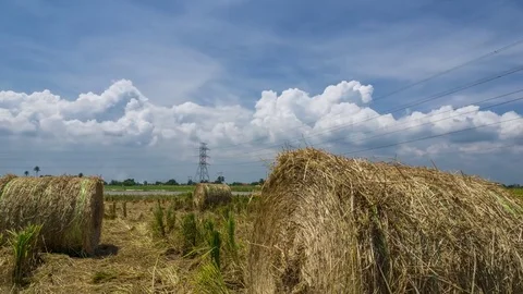 Time lapse of haystack role over moving clouds in paddy fields Stock Footage 78502627