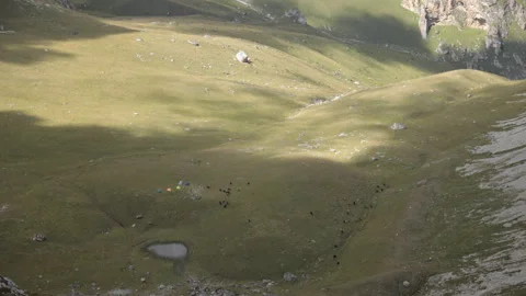 Time lapse of herd of cows grazing on a mountain pasture. Vídeo Stock 97252299