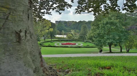 Time Lapse of High Park with Tree Trunk in Foreground Stock Footage 64973189