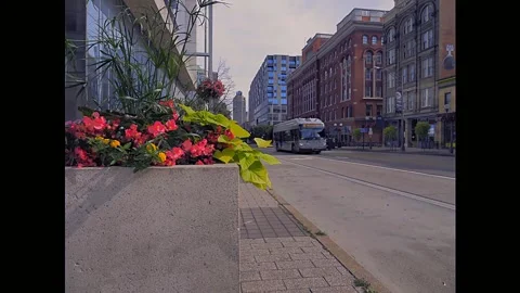 Time lapse of High St in downtown Columbus Ohio June 20 2026 스톡 동영상 337368319