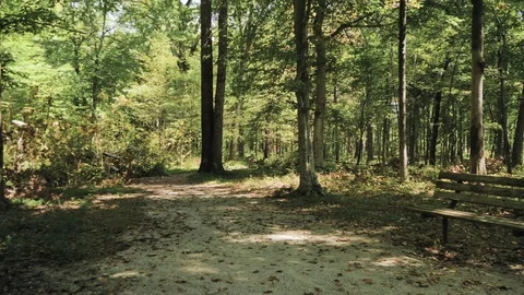 Time Lapse of Hikers Walking through Mammoth Cave National Park Video stock 82161541