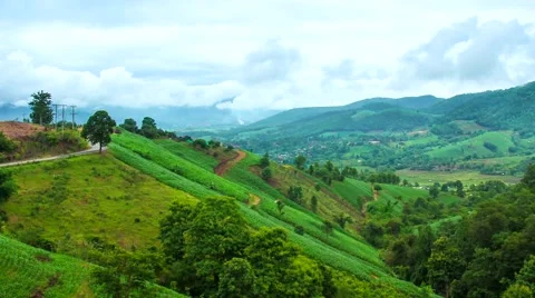 Time Lapse hill road Maejam Stock Footage 40542078
