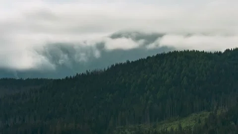 Time-lapse hills pine trees forest mountain range covered with rolling clouds Stock Footage 203919666