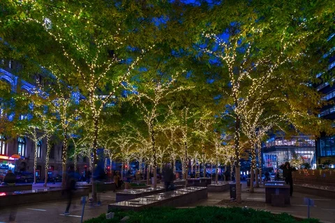Time Lapse of Holiday Tree Lights, Downtown NYC Vídeo Stock 119544373