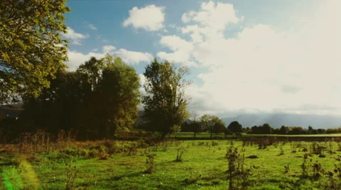 Time Lapse with horizontal panning with clouds and trees in Tuscany, Italy Stock Footage 64733911