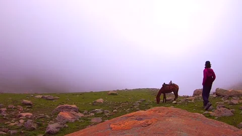 Time Lapse Horse on the mountain Landscape in the himalayas kashmir. Nepal Stock Footage 262057710