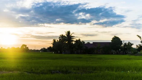 Time Lapse : House At Paddy Field Of Kedah,Malaysia From Day To Night.HD Stock Footage 135728612