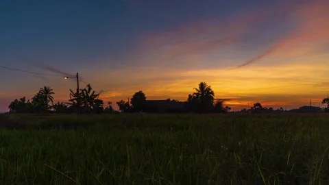 Time Lapse : House At Paddy Field Of Kedah,Malaysia From Day To Night.HD Stock Footage 137162199