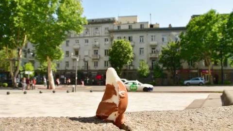 Time lapse Ice cream melts rapidly under intense sun heat during summer morning  Stockbeeldmateriaal 311514467