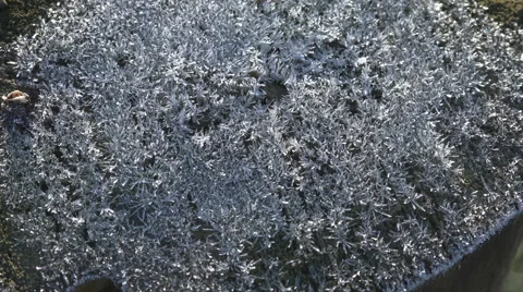 A time lapse of ice crystals from a heavy overnight frost as they melt  Stock Footage 40746267