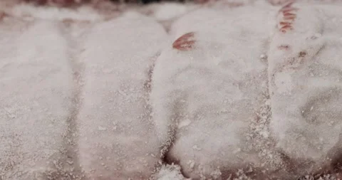 Time Lapse Ice flakes on Thawed frozen meat steak. Stock Footage 165249518