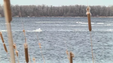 Time lapse of ice flow on the river Stock-Footage 74257628