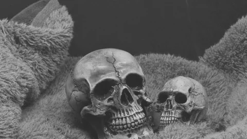 Time lapse ice freezing skull on old fabric in black and white tone Stock Footage 82317617