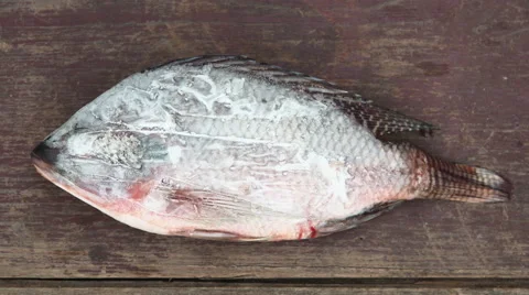Time lapse of Ice melting from fish, 4k 4096x2304 clip. Stock Footage 50581268