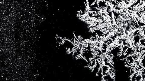 Time-lapse of intricate frostwork patterns growing on a black winter pane Stock Footage 264349079