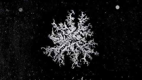Time-lapse of intricate frostwork patterns growing on a black winter pane Stock Footage 264349633
