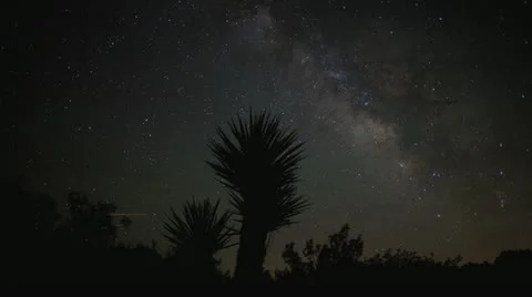 Time Lapse of Joshua Tree NP at Night - 4K - 4096x2304 Stock Footage 22337837