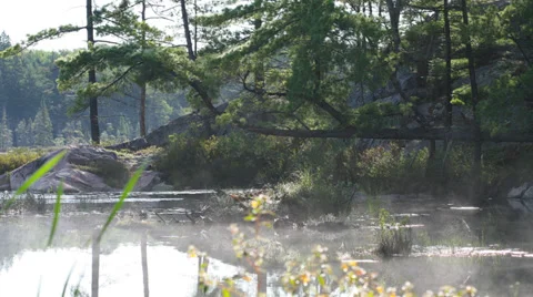 Time Lapse Killarney Provincial Park, Ontario Canada Stock Footage 34665294