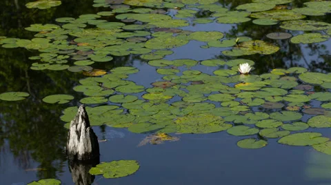 Time Lapse Killarney Provincial Park, Ontario Canada Stock Footage 34672295