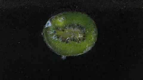 Time lapse of kiwifruit slice decomposing in a rhizobox Stock Footage 309269000