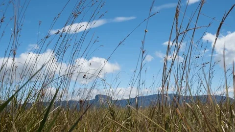 Time-lapse of  La Urna Tepui. Canaima National Park.  Venezuela Stock Footage 120853769