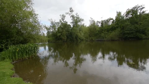 Time lapse of a lake with ducks Stockbeeldmateriaal 155587396