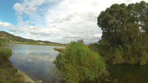 Time lapse lake, trees and blue sky with clouds Stock Footage 44566048
