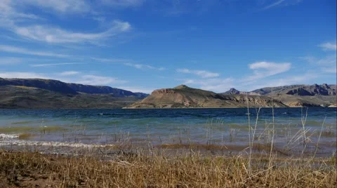 Time Lapse Lakeside With Old Trees Stock Footage 55242691